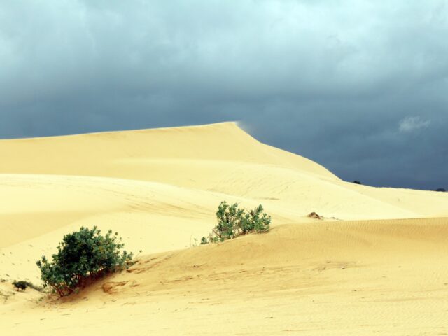 Khai thác và bảo vệ tài nguyên thiên nhiên theo tư tưởng Hồ Chí Minh