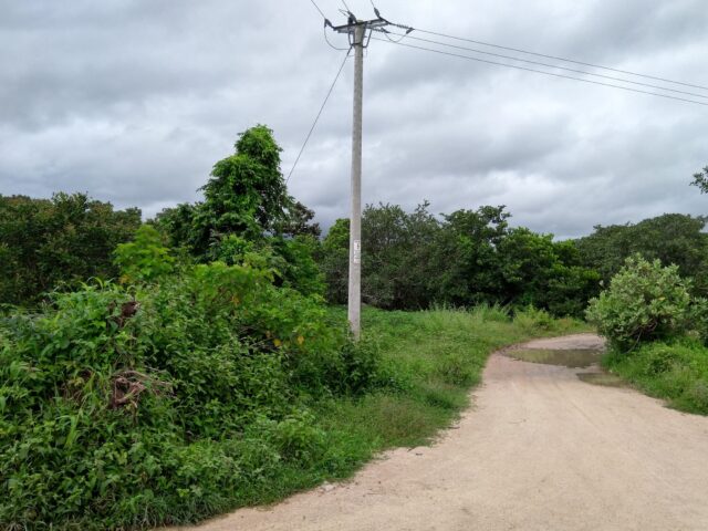 03 thành tựu phát triển nông nghiệp, nông dân, nông thôn