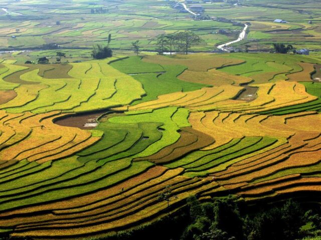 Năm giải pháp nâng cao vai trò, chất lượng quy hoạch sử dụng đất