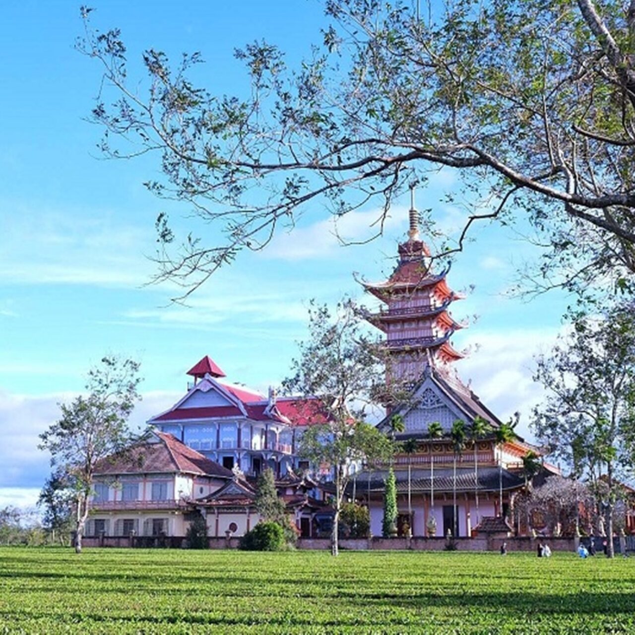 Kế hoạch sử dụng đất 2022 huyện Chư Păh, tỉnh Gia Lai