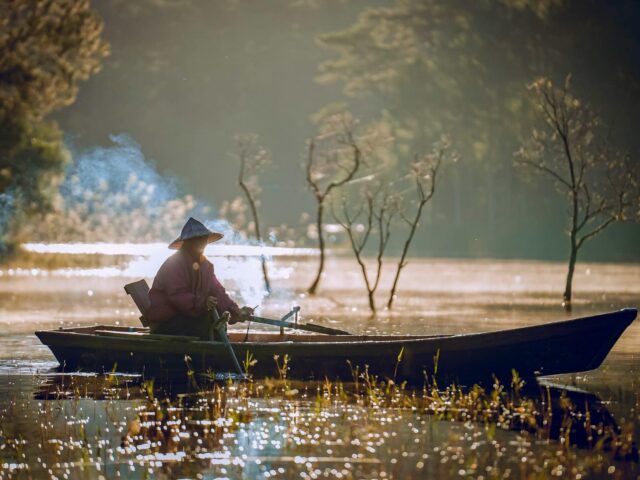 Điều tra, đánh giá đất đai và bảo vệ, cải tạo, phục hồi đất