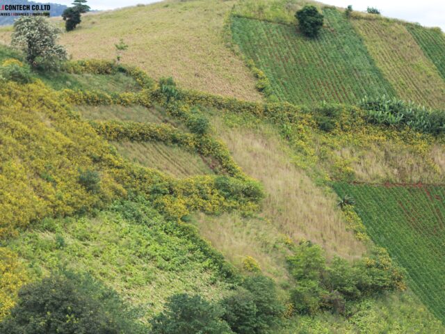 Nội dung quản lý nhà nước về đất đai