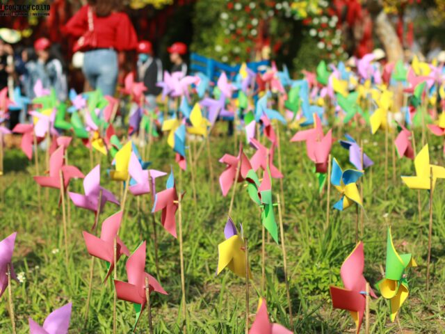 Phân loại đất trong Luật Đất đai 2024