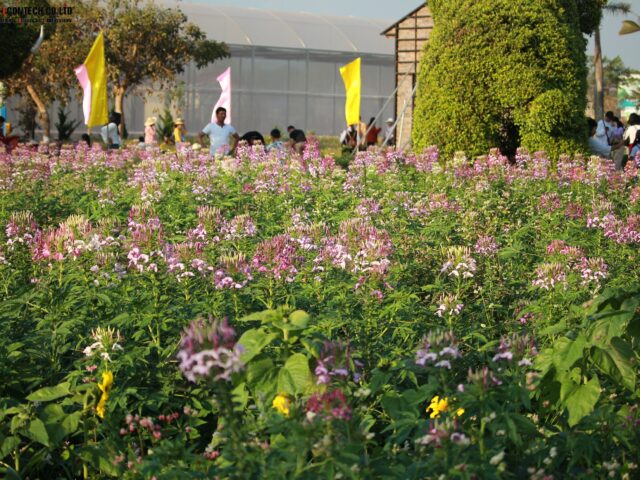 Nguồn lực rừng, sinh thái và đa dạng sinh học tác động trực tiếp đến sử dụng đất