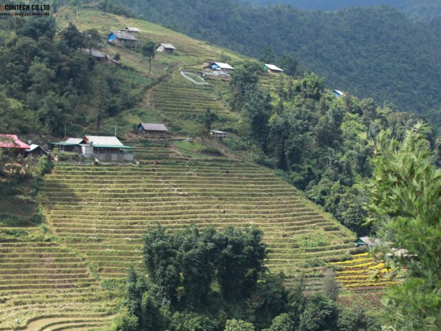 Trình tự thực hiện thống kê đất đai cấp huyện