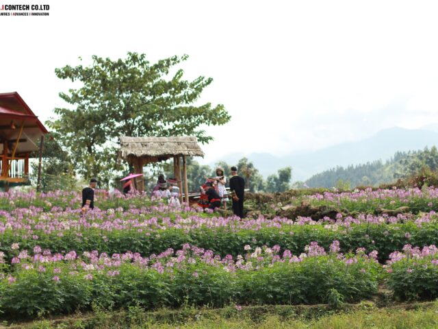 Trình tự thực hiện thống kê đất đai phạm vi cả nước