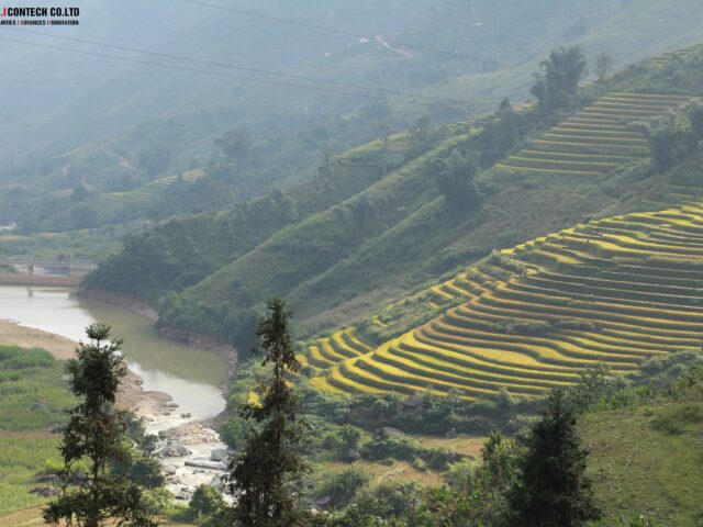 Trình tự thực hiện thống kê đất đai cấp xã