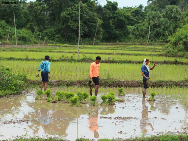 Trình tự thực hiện kiểm kê đất đai cấp huyện
